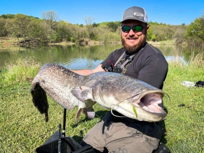 Риболов на сом на спининг. Хванах два сома за 15 минути